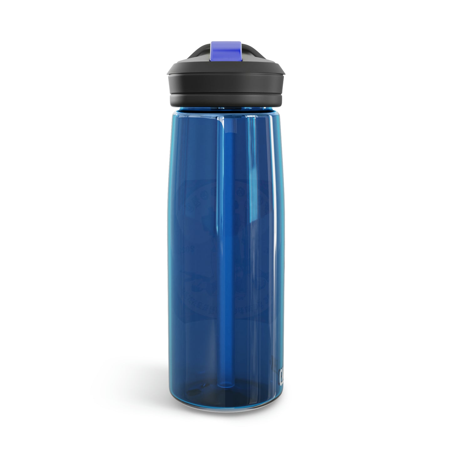 Foggy Seal CamelBak Eddy® Water Bottle, 20oz\25oz
